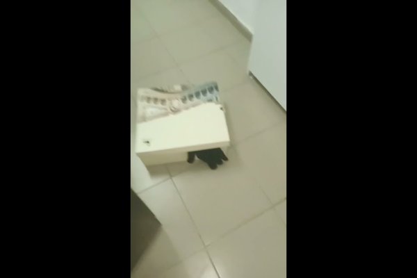 Правильная ссылка на кракен