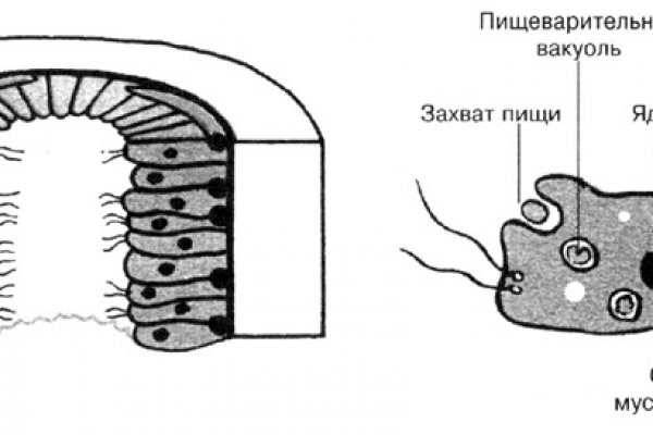 Рабочая ссылка кракен маркетплейс