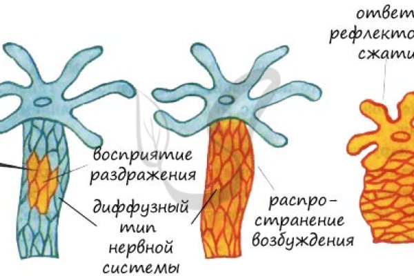 Kra40.cc